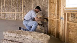 Types of Insulation We Offer in Dupont, WA